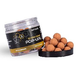 NASH Scopex Squid Pop Ups 12mm 75g Natural