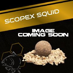 NASH Scopex Squid Wafters 20mm 100g