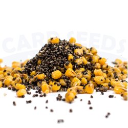 Carp Seeds Miks B – konopie, kukurydza – 5 kg