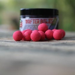 Fantazy Baits Squid Wafter Boilies