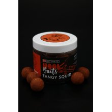 Ultimate Hook Baits Tangy Squid 20mm